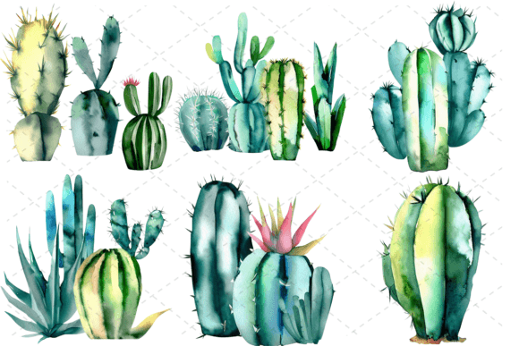 Download 6 Watercolor Cactus PNG Clipart Bundle - Bundle Collection